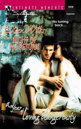 Title details for Night of No Return by Eileen Wilks - Available